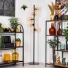 Koyoto Golvlampa Amber, Klart, 5-ljuskällor