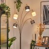 Bassagoda Golvlampa Nickel matt, Svart, 5-ljuskällor