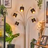 Alsen Golvlampa Mässing, Svart, 5-ljuskällor