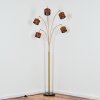 Cando Golvlampa Mässing, Svart, 5-ljuskällor