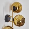 Ripoll kullampa, Vägglampa Guld, Svart, 3-ljuskällor