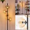 Ripoll Golvlampa Amber, Klart, 4-ljuskällor