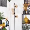 Ripoll Golvlampa Amber, Klart, 4-ljuskällor