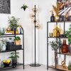 Ripoll Golvlampa Amber, Klart, 4-ljuskällor