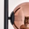 Koyoto Golvlampa 31 cm Klart, Kopparfärg, 5-ljuskällor