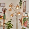 Bongal Golvlampa Mässing, Svart, 5-ljuskällor