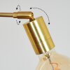 Codecreo Golvlampa Mässing, Svart, 5-ljuskällor