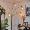 Codecreo Golvlampa Mässing, Svart, 5-ljuskällor
