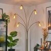Codecreo Golvlampa Mässing, Svart, 5-ljuskällor