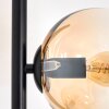 Koyoto Golvlampa Amber, Klart, 4-ljuskällor