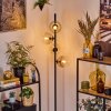 Koyoto Golvlampa Amber, Klart, 4-ljuskällor