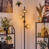 Koyoto Golvlampa Amber, Klart, 4-ljuskällor