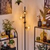 Koyoto Golvlampa Amber, Klart, 4-ljuskällor