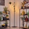Koyoto Golvlampa Klart, 4-ljuskällor
