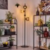 Koyoto Golvlampa Amber, Klart, Rökfärger, 4-ljuskällor