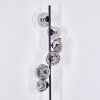 Ripoll Golvlampa Klart, Rökfärger, 6-ljuskällor