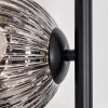 Ripoll Golvlampa Klart, Rökfärger, 5-ljuskällor