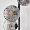 Ripoll Golvlampa Klart, Rökfärger, 5-ljuskällor