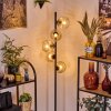 Ripoll Golvlampa Amber, Klart, 5-ljuskällor