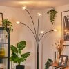 Nikkala Golvlampa Svart, 5-ljuskällor
