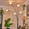 Nikkala Golvlampa Svart, 5-ljuskällor