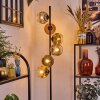Ripoll Golvlampa Guld, Klart, Kopparfärg, Rökfärger, 6-ljuskällor