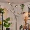 Nikkala Golvlampa Svart, 5-ljuskällor