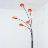 Nikkala Golvlampa Svart, 5-ljuskällor