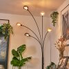 Nikkala Golvlampa Svart, 5-ljuskällor