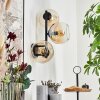 Koyoto kullampa, Vägglampa Amber, Klart, 3-ljuskällor