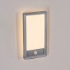 Harel vägglampa utomhus, Panel, Vägglampa LED Silver, 1-ljuskällor, Rörelsedetektor
