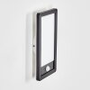 Harel vägglampa utomhus, Panel, Vägglampa LED Svart, 1-ljuskällor, Rörelsedetektor