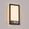 Harel vägglampa utomhus, Panel, Vägglampa LED Svart, 1-ljuskällor, Rörelsedetektor
