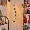 Koyoto Golvlampa 31 cm Klart, 6-ljuskällor