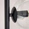 Koyoto Golvlampa 31 cm Klart, 6-ljuskällor