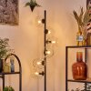Koyoto Golvlampa 31 cm Klart, 6-ljuskällor