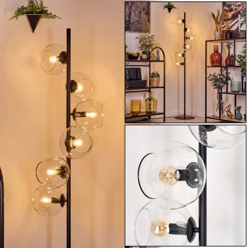 Koyoto Golvlampa 31 cm Klart, 6-ljuskällor Koyoto Golvlampa 31 cm Klart, 6-ljuskällor
