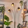 Alsen Golvlampa Krom, Svart, 3-ljuskällor