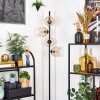 Ripoll Golvlampa Amber, Klart, 4-ljuskällor