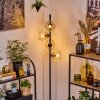 Ripoll Golvlampa Amber, Klart, 4-ljuskällor