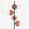 Ripoll Golvlampa Klart, Kopparfärg, 4-ljuskällor