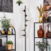 Koyoto Golvlampa 31 cm Klart, 6-ljuskällor