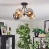 Ripoll Taklampa, kullampa Amber, Klart, Rökfärger, 5-ljuskällor
