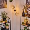 Koyoto Golvlampa Amber, Klart, 3-ljuskällor