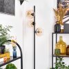 Koyoto Golvlampa Amber, Klart, 3-ljuskällor