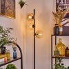 Koyoto Golvlampa Amber, Klart, 3-ljuskällor