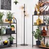 Koyoto Golvlampa Amber, Klart, 3-ljuskällor