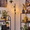 Koyoto Golvlampa 31 cm Klart, 3-ljuskällor