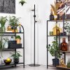 Koyoto Golvlampa 31 cm Klart, 3-ljuskällor