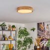 Melstad Taklampa LED Naturfärger, Vit, 1-ljuskällor